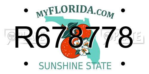 R678778 Florida License Plate