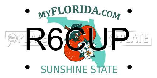R6CUP Florida License Plate