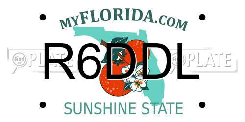 R6DDL Florida License Plate