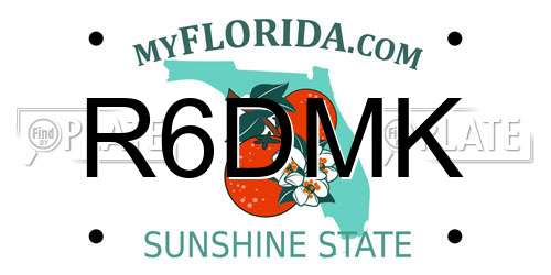 R6DMK Florida License Plate