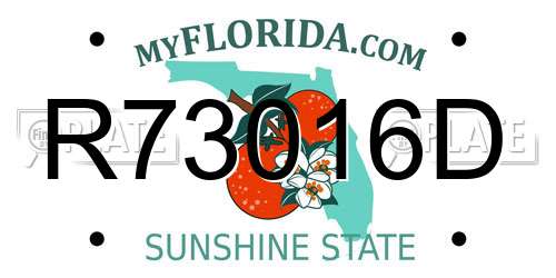 R73016D Florida License Plate