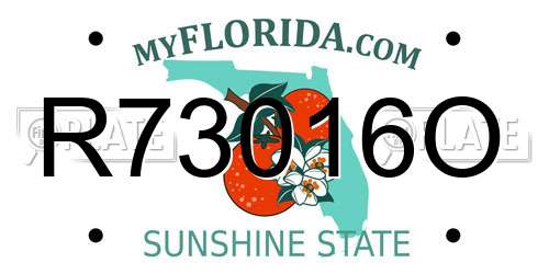 R73016O Florida License Plate