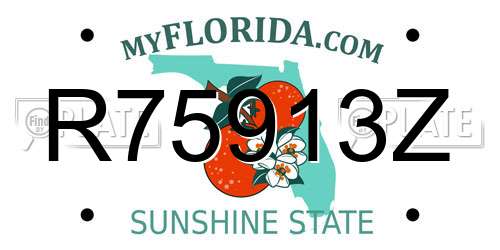 R75913Z Florida License Plate