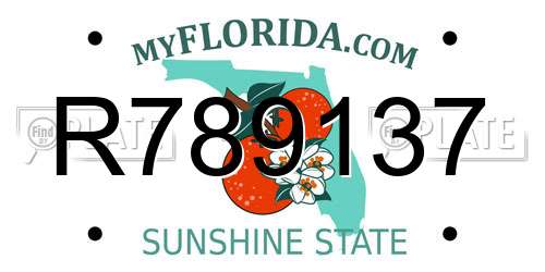 R789137 Florida License Plate