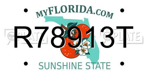 R78913T Florida License Plate