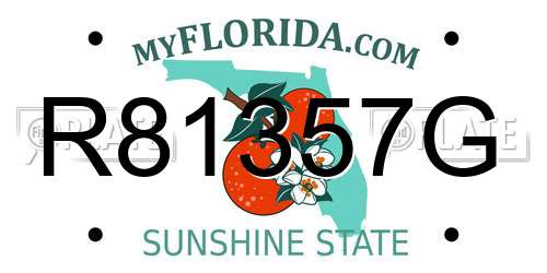 R81357G Florida License Plate