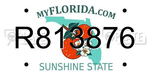 R813876 Florida License Plate