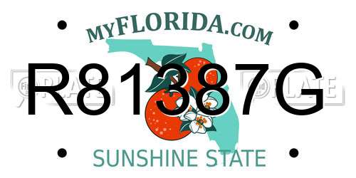 R81387G Florida License Plate