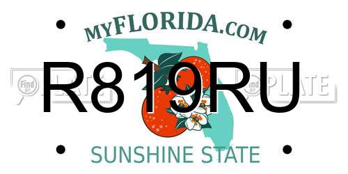 R819RU Florida License Plate