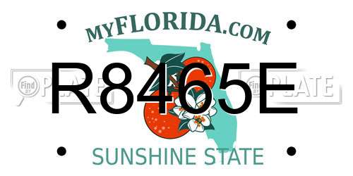 R8465E Florida License Plate