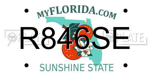 R846SE Florida License Plate