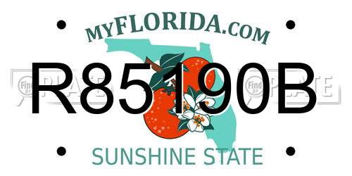 R85190B Florida License Plate