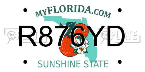 R876YD Florida License Plate