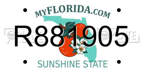 R881905 Florida License Plate
