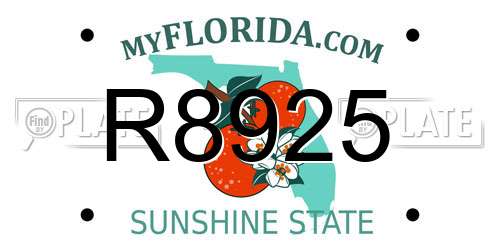 R8925 Florida License Plate