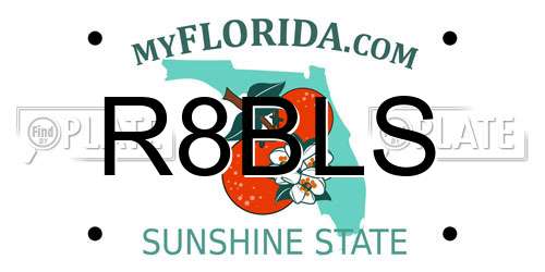 R8BLS Florida License Plate