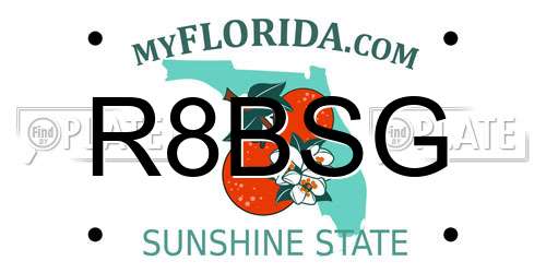 R8BSG Florida License Plate