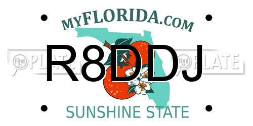 R8DDJ Florida License Plate
