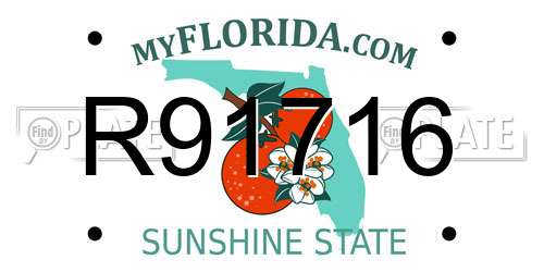 R91716 Florida License Plate