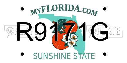 R9171G Florida License Plate