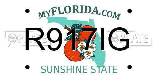 R917IG Florida License Plate