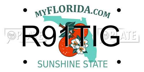 R91TIG Florida License Plate
