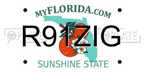 R91ZIG Florida License Plate