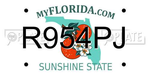 R954PJ Florida License Plate