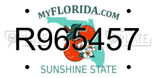 R965457 Florida License Plate