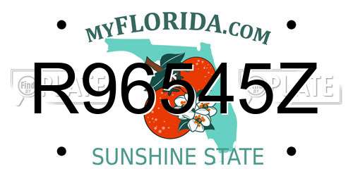 R96545Z Florida License Plate