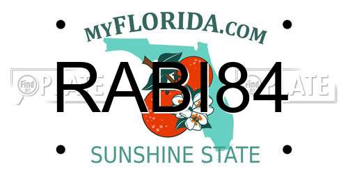 RABI84 Florida License Plate
