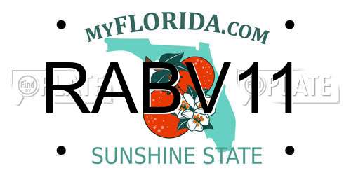 RABV11 Florida License Plate