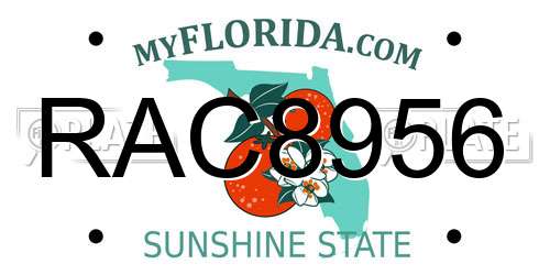 RAC8956 Florida License Plate
