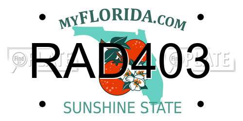 RAD403 Florida License Plate