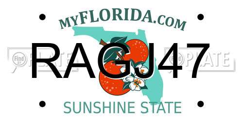 RAGJ47 Florida License Plate