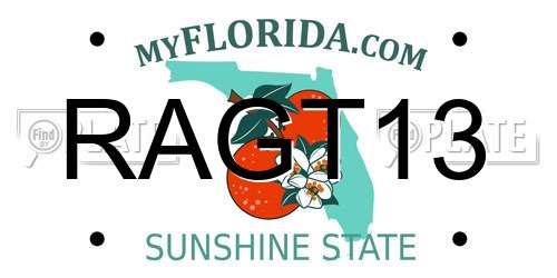 RAGT13 Florida License Plate