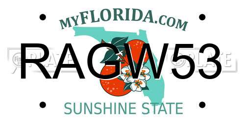 RAGW53 Florida License Plate
