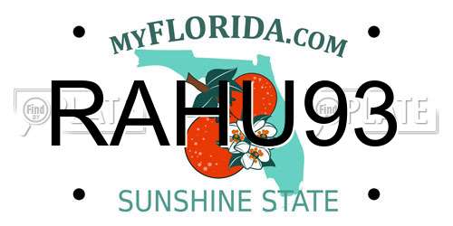 RAHU93 Florida License Plate