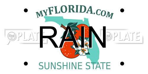RAIN Florida License Plate