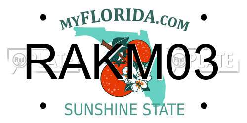 RAKM03 Florida License Plate