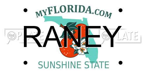 RANEY Florida License Plate
