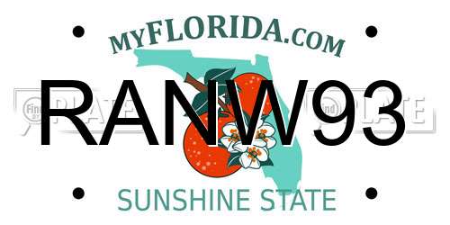 RANW93 Florida License Plate