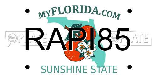 RAPI85 Florida License Plate