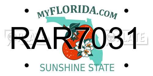 RAR7031 Florida License Plate