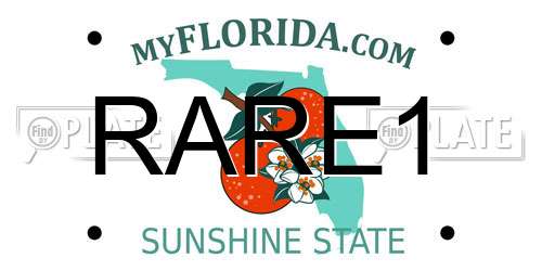RARE1 Florida License Plate