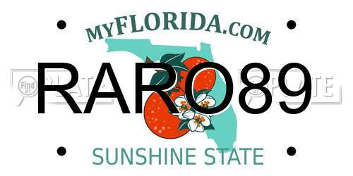 RARO89 Florida License Plate