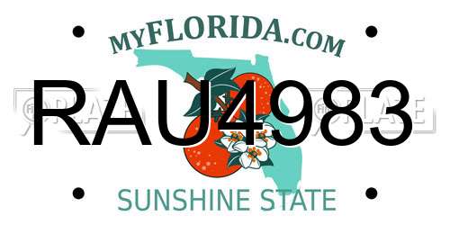 RAU4983 Florida License Plate