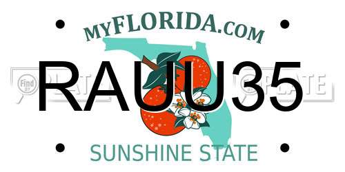RAUU35 Florida License Plate