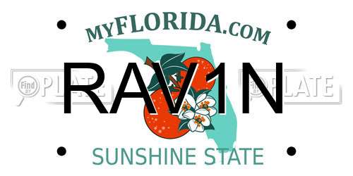 RAV1N Florida License Plate