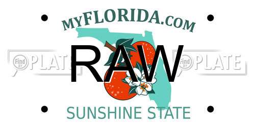 RAW Florida License Plate